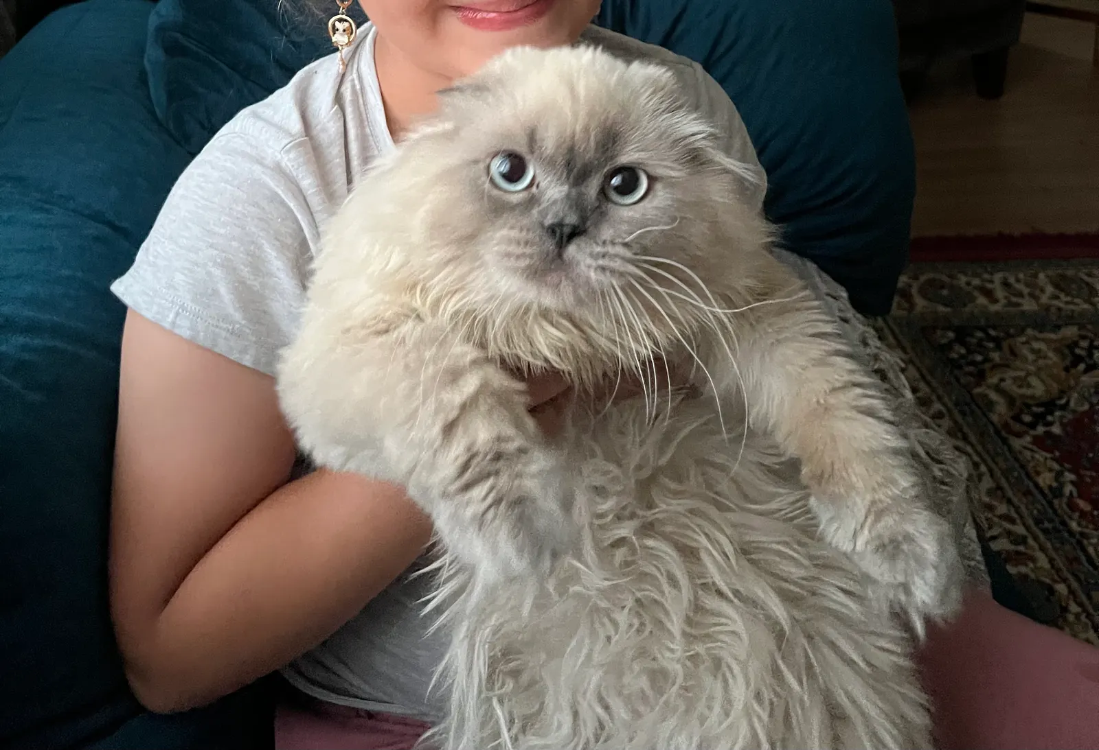 ogluma güzel eş arıyorum kedi çiftleştirme ilanı - Balıkesir